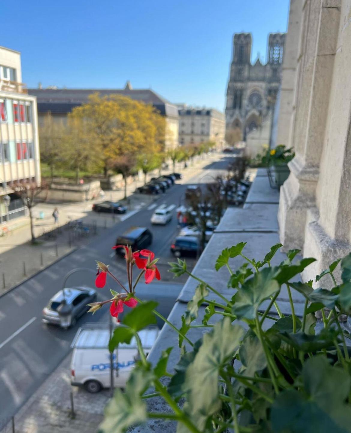 La Demeure Des Sacres - Cathedrale Bed & Breakfast Reims Luaran gambar